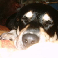 Photo #189263 de Bacuss