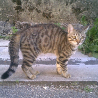 Photo #189269 de Dewey