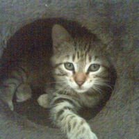 Photo #189273 de Dewey