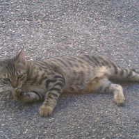 Photo #189275 de Dewey