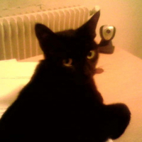 Photo #189316 de Mimi