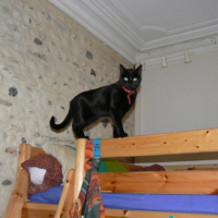 Photo #189319 de Mimi