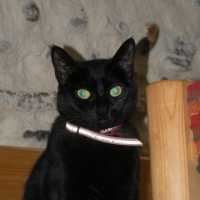 Photo #189320 de Mimi