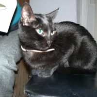 Photo #189321 de Mimi