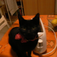 Photo #189322 de Mimi