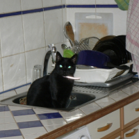 Photo #189323 de Mimi