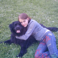 Photo #189368 de Prune