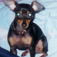 Photo #189424 de Nita