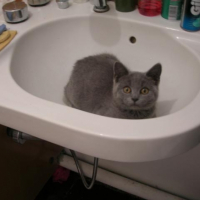 Quelle chipie !