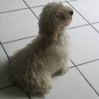 Photo #189572 de Lilie