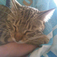 Photo #189629 de Dewey