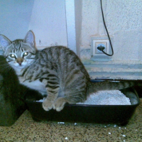 Photo #189631 de Dewey