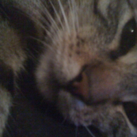 Photo #189651 de Dewey