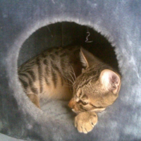 Photo #189657 de Dewey