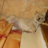 DSC00550