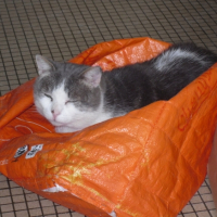Photo #189712 de Moumine