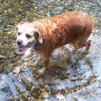 Ma fifille, les papattes dans l'eau. (été 2009)