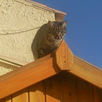 Photo #189885 de Fanny