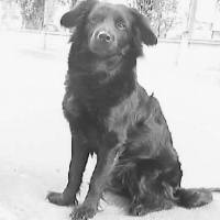 Photo #189955 de Ciela