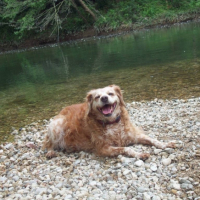 petite pause auprés de l'eau bien méritée aprés une longue marche.