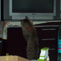 passion pour la tele