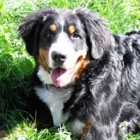 Photo #190041 de Ermes
