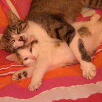 Photo #190055 de La tite minie