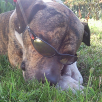 Photo #190082 de Cirka