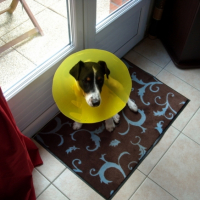 Photo #190083 de Darwin 