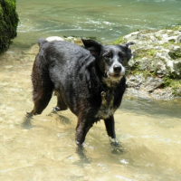 Laura dans l'eau !
