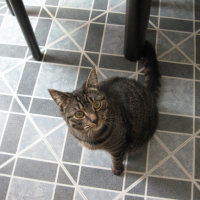 Photo #190121 de Hubert
