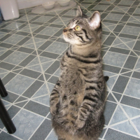 Photo #190133 de Hubert