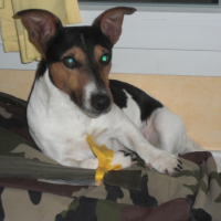 Photo #190173 de Booba