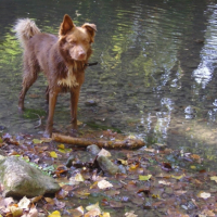 Photo #190371 de Arsouille