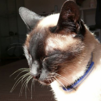 Photo #190418 de Filou