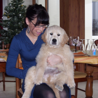 Photo #190481 de Clover