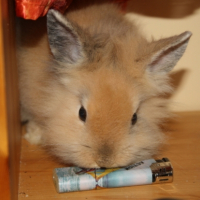 Photo #190485 de Menndy