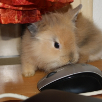 Photo #190488 de Menndy