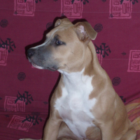 Photo #190554 de Easy