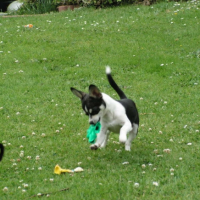 Photo #190635 de Oslow