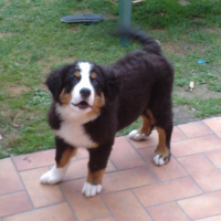 Photo #190666 de Orton