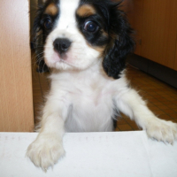 Photo #190667 de Eyka