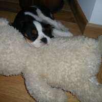 Photo #190673 de Eyka