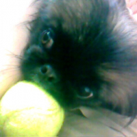 Photo #190674 de Fiiy