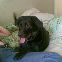Photo #190716 de Belley