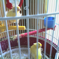 Photo #190753 de Doudou