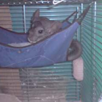 Photo #190772 de Tomy