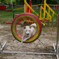 Photo #190813 de Dagan