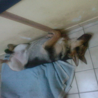 Photo #190821 de Paco