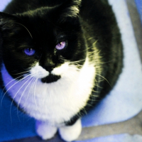 Photo #190847 de Odile